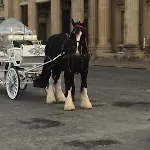 Eurogroup Residence Champ De Mars